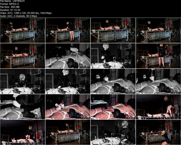 KinkyMistresses - Lady Mephista - The Bondage Slave KinkyMistresses - Lady Mephista - The Bondage Slave
